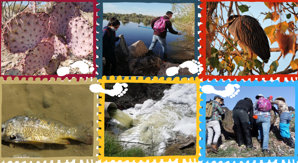 Imágenes de la problemática del río San Pedro, la biodiversidad presente y las actividades de la comunidad para conservar el humedal