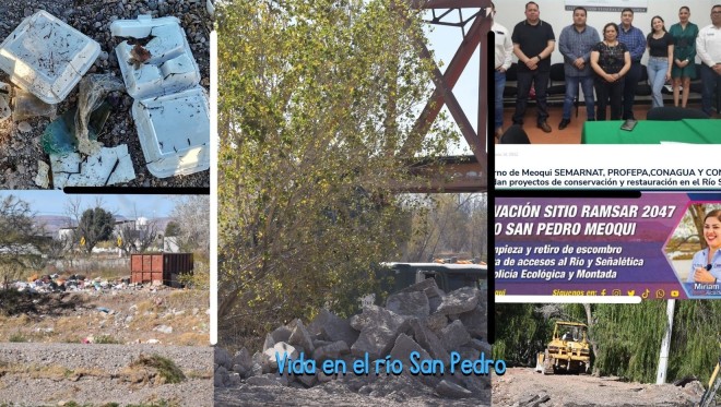Informe de Resultados en conservación del Río San Pedro: nuevos planes, mismos resultados.